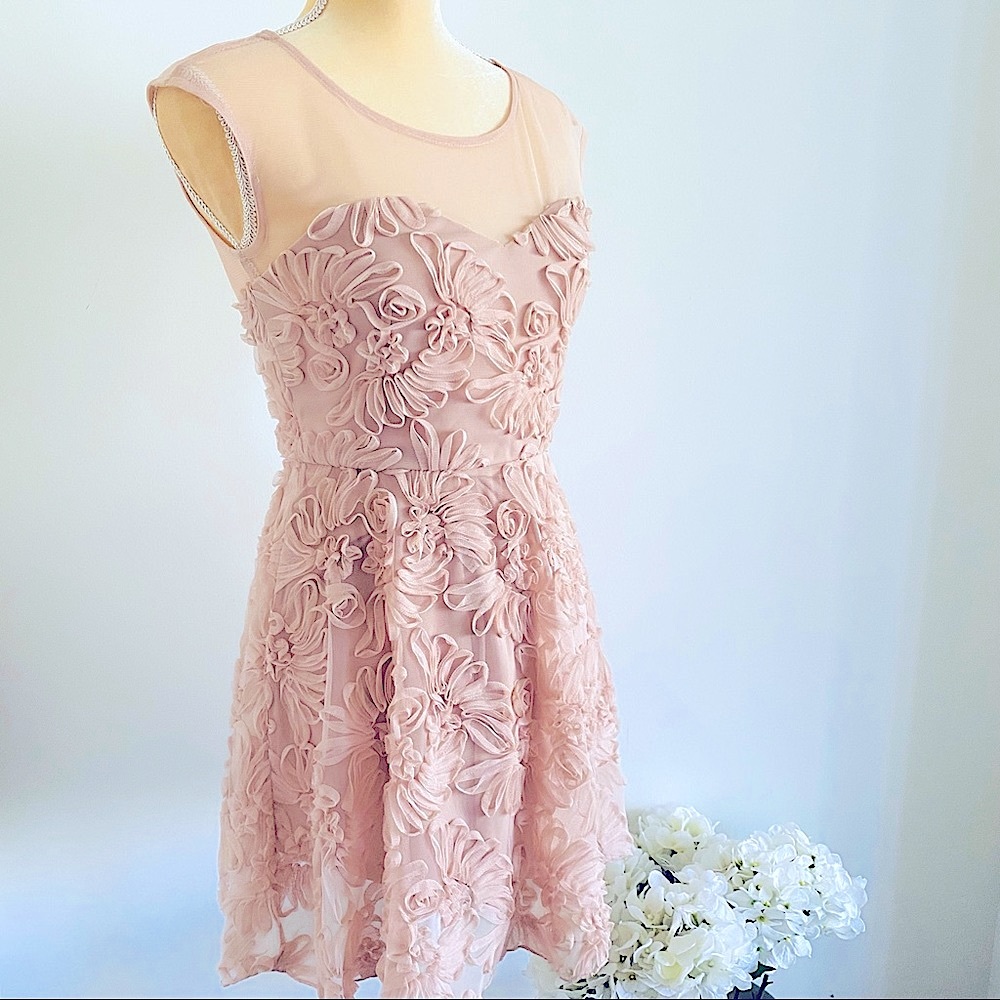 💕Fit and Flare Mesh Dress SZ S - Picture 6 of 15